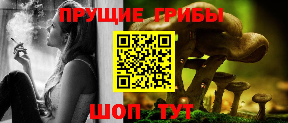 Галлюциногенные грибы мухоморы Великий Новгород